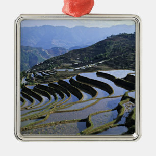 Adorno Metálico Asia, China, Yunnan, Yuanyang. Escabroso