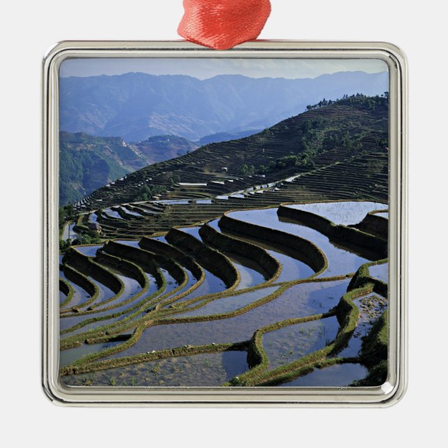 Adorno Metálico Asia, China, Yunnan, Yuanyang. Rugoso (Frente)