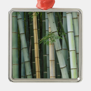 Adorno Metálico Asia, Japón, Kyoto, Arashiyama, Sagano, Bambú