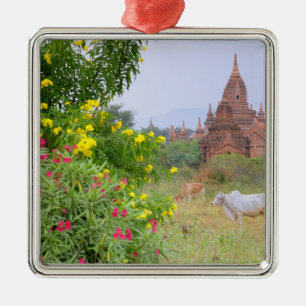 Adorno Metálico Asia, Myanmar (Birmania), Bagan (Pagan). Vacas