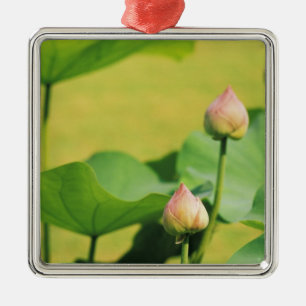 Adorno Metálico Asia, Tailandia, Bangkok. Gran Palacio, loto