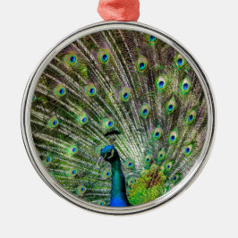 Adorno Metálico Asombroso Peacock y plumas accesorios de fotografí