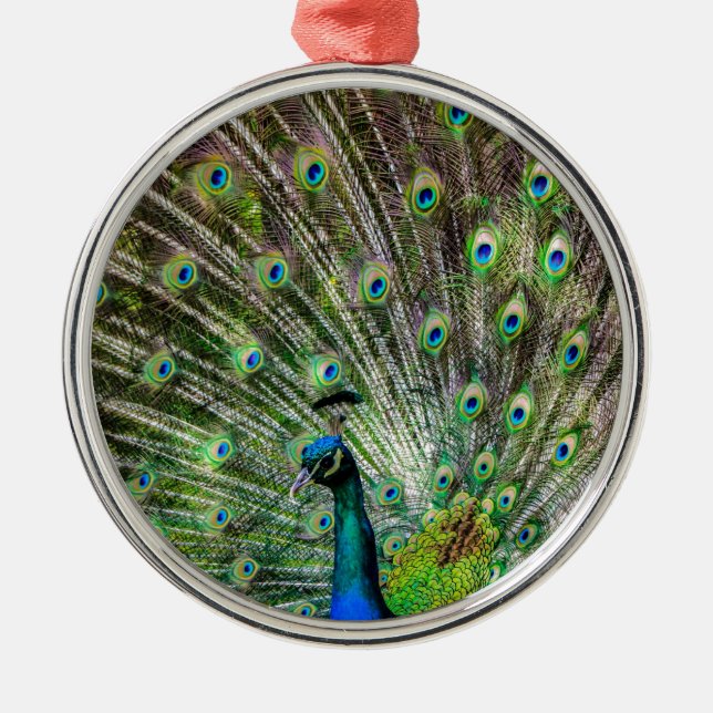 Adorno Metálico Asombroso Peacock y plumas accesorios de fotografí (Frente)