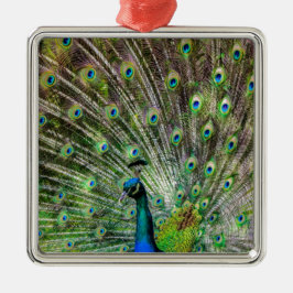 Adorno Metálico Asombroso Peacock y plumas accesorios de fotografí