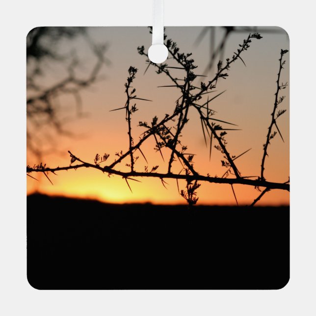 Adorno Metálico Atardecer africano con espinosa silueta de árbol d (Anverso)