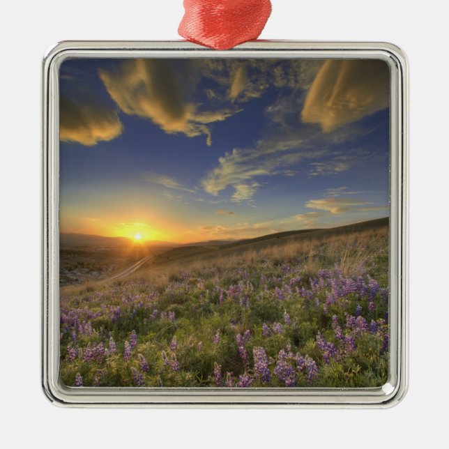 Adorno Metálico Atardecer sobre las montañas Bitterroot y vastas (Frente)