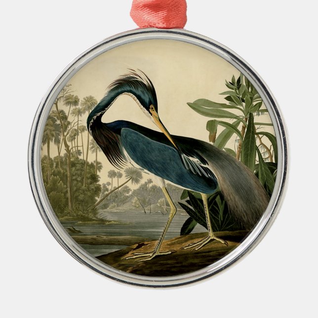 Adorno Metálico Audubon Louisiana Heron Birds America Art (Frente)