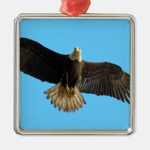 Adorno Metálico Ave de águila calva volando de arte prey