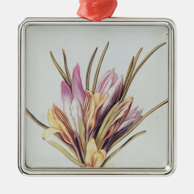 Adorno Metálico Azafrán o azafrán, de 'La Guirlande de Julie' (Frente)