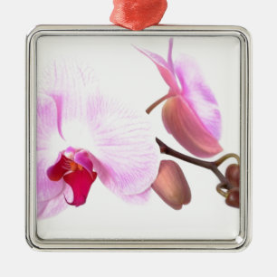 Adorno Metálico Aziza Orchid Blossoms