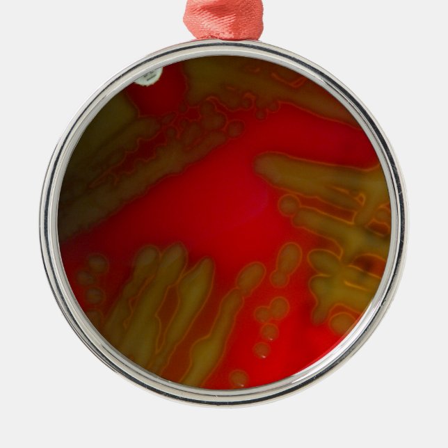 Adorno Metálico Bacterias de Penumonia (Frente)