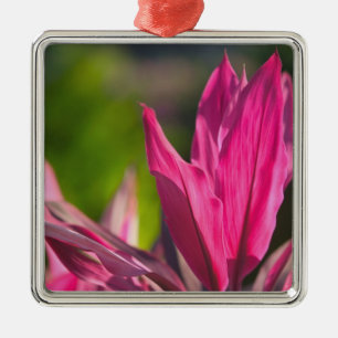 Adorno Metálico BAHAMAS, Isla Nueva Providencia, Nassau:Paraíso