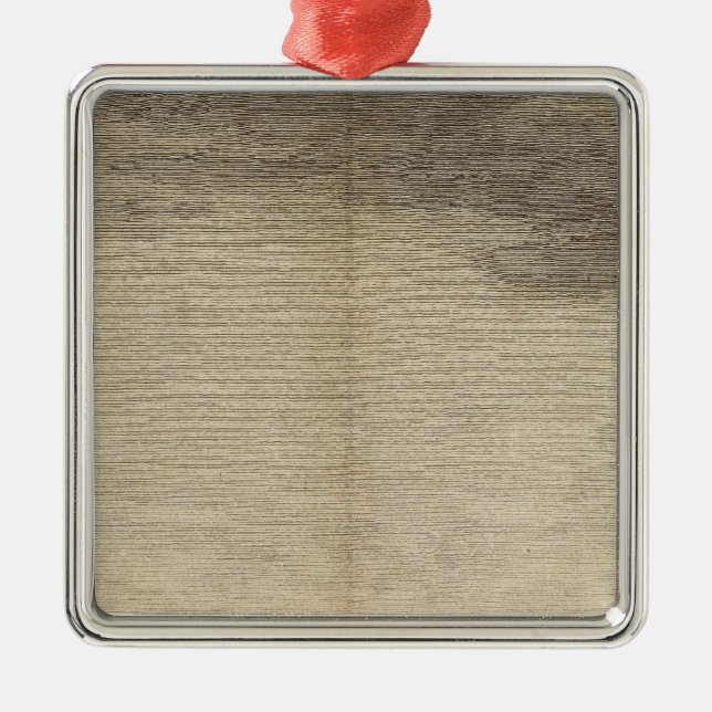 Adorno Metálico Bahía de la posesión, Georgia del sur (Frente)