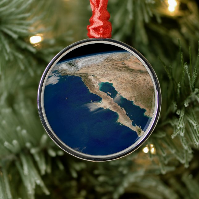 Adorno Metálico Baja California Y La Costa Del Pacífico De México. (Árbol)