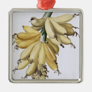 Adorno Metálico Banana, 1816