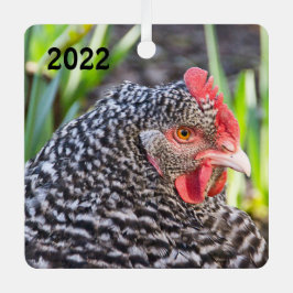 Adorno Metálico Barred Rock Hen - Pollo Mascota