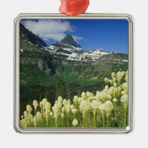 Adorno Metálico Beargrass cerca de Logan Pass en Gacier National