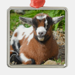 Adorno Metálico Bebé Adorable Niño de Cabra