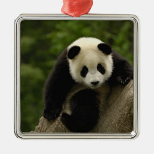 Adorno Metálico Bebé de panda gigante
