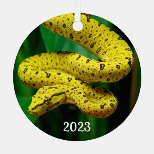 Adorno Metálico Bebé Yellow Phase Green Tree Python Snack