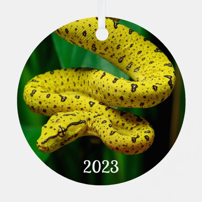 Adorno Metálico Bebé Yellow Phase Green Tree Python Snack (Reverso )