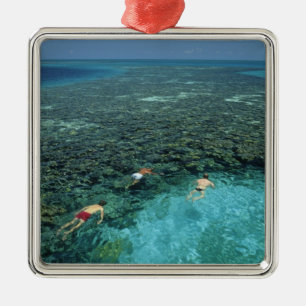 Adorno Metálico Belice, Arrecife de la Barrera, Lighthouse Reef, A
