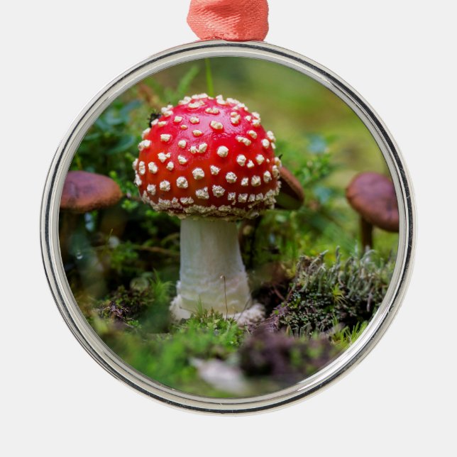 Adorno Metálico Belleza de otoño (Frente)