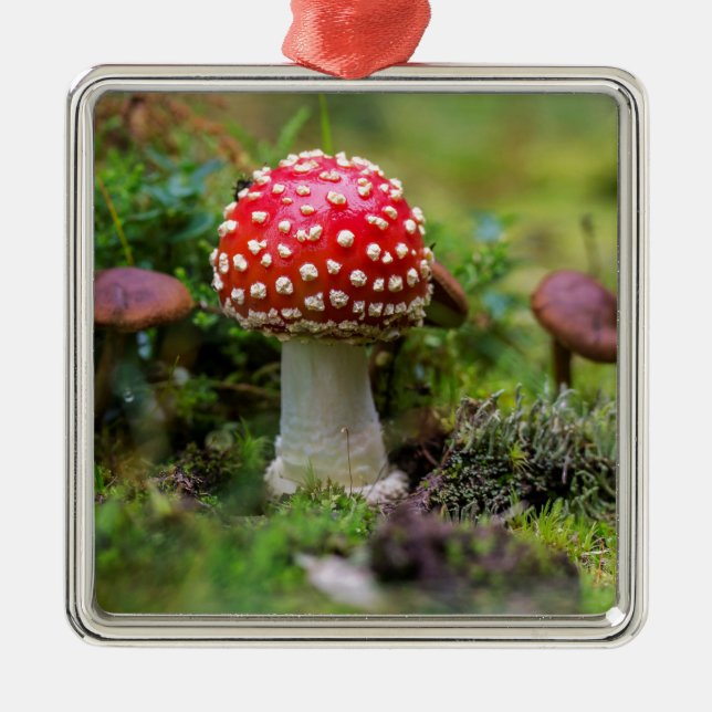 Adorno Metálico Belleza de otoño (Frente)