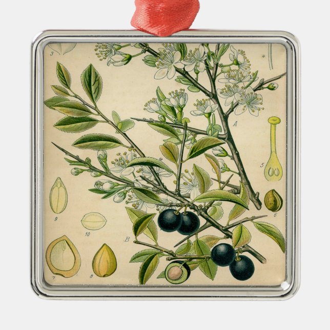 Adorno Metálico Berry de flores antiguas de espinas negras (Frente)