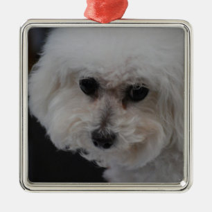 Adorno Metálico Bichon dulce Frise