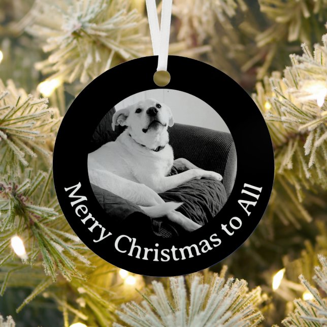 Adorno Metálico Black and White Photo of Talking Dog Christmas (in situ)