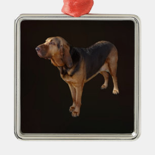 Adorno Metálico Bloodhound