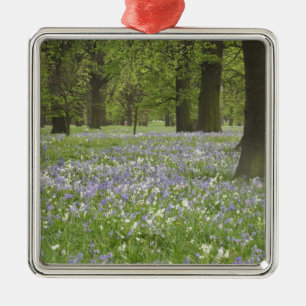 Adorno Metálico Bluebells y robles en primavera, Pequeña Hagley