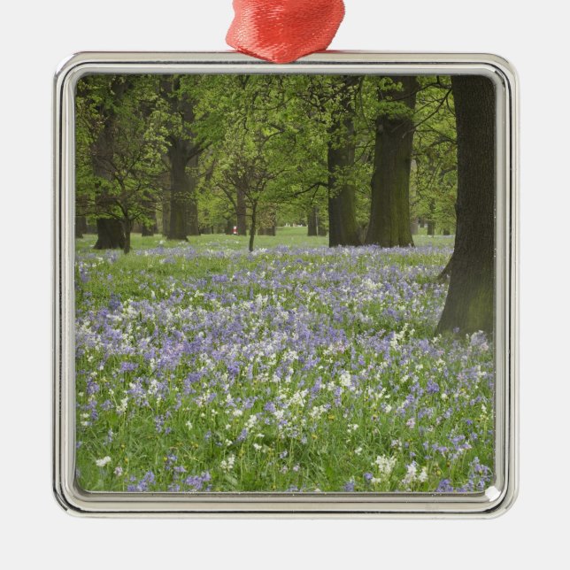 Adorno Metálico Bluebells y robles en primavera, Pequeña Hagley (Frente)