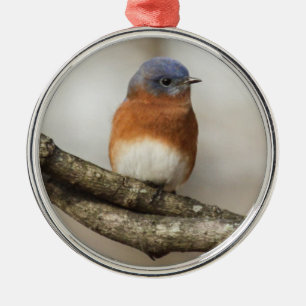 Adorno Metálico Bluebird del este