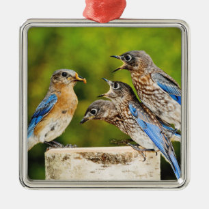 Adorno Metálico Bluebird del este