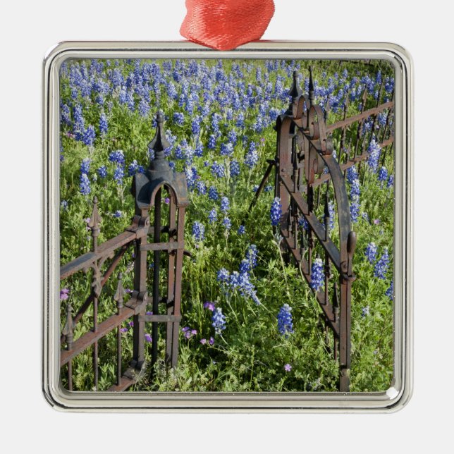 Adorno Metálico Bluebonnets y la puerta del cementerio circundante (Frente)