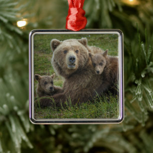 Adorno Metálico Bocas de oso marrón acurrucadas con su madre