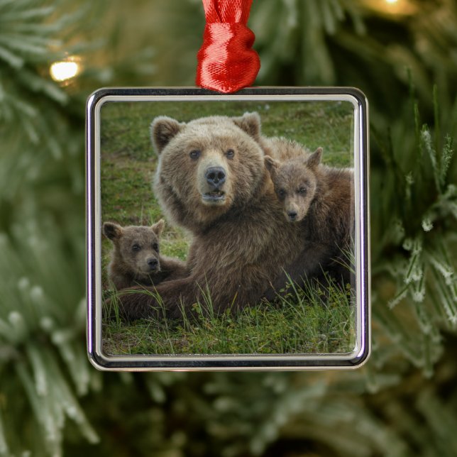 Adorno Metálico Bocas de oso marrón acurrucadas con su madre (Árbol)