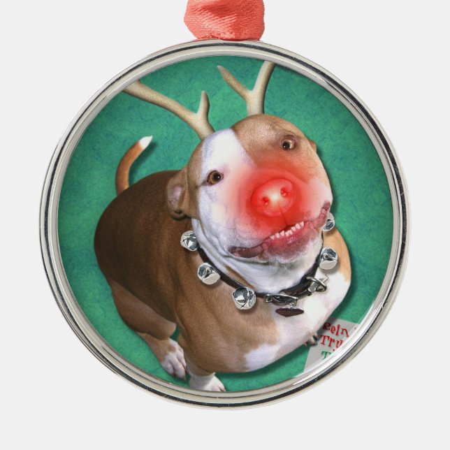 Adorno Metálico Boodolph (Frente)