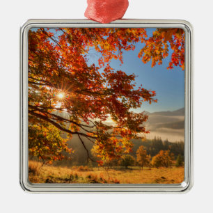 Adorno Metálico Bosque del otoño en las montañas