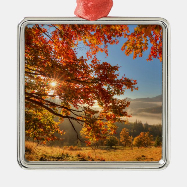 Adorno Metálico Bosque del otoño en las montañas (Frente)