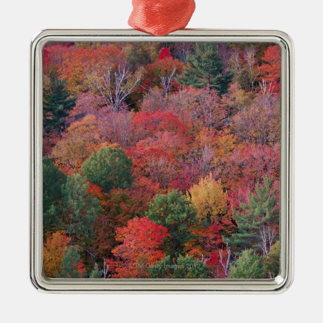 Adorno Metálico Bosque en otoño con el follaje de otoño.  (Frente)