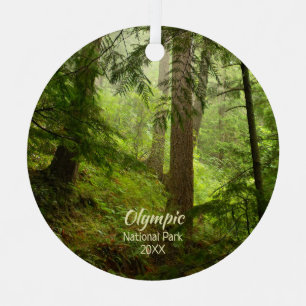 Adorno Metálico Bosque pluvial en la foto del Parque Nacional Olí