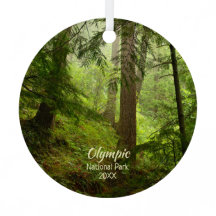 Bosque pluvial en la foto del Parque Nacional Olím