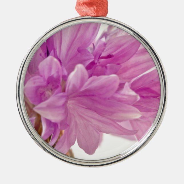 Adorno Metálico botón Batchelor (Frente)