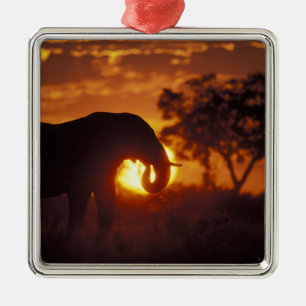 Adorno Metálico Botsuana, Parque Nacional Chobe, Elefante de Toro