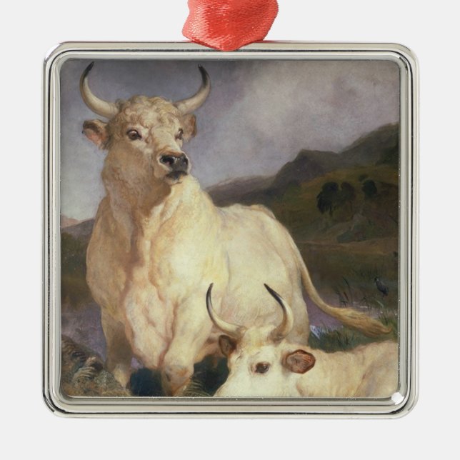 Adorno Metálico Bovino salvaje de Chillingham (vacas) (Frente)