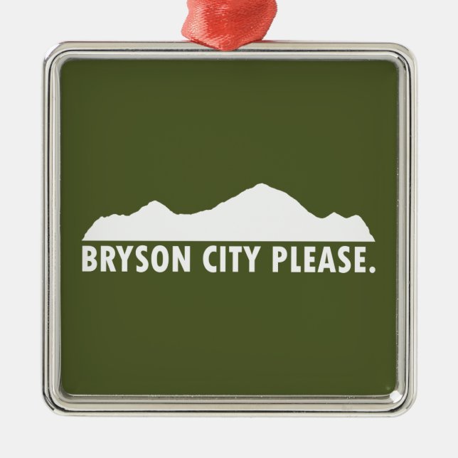 Adorno Metálico Bryson City Please (Frente)
