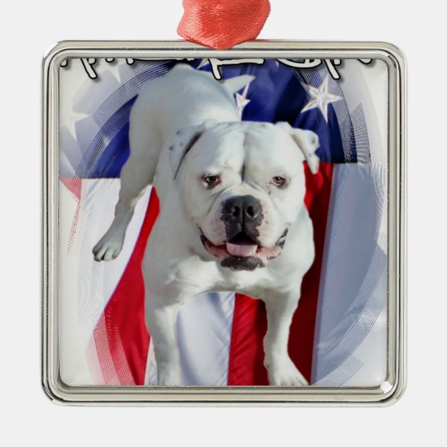 Adorno Metálico Bulldog americano (Frente)